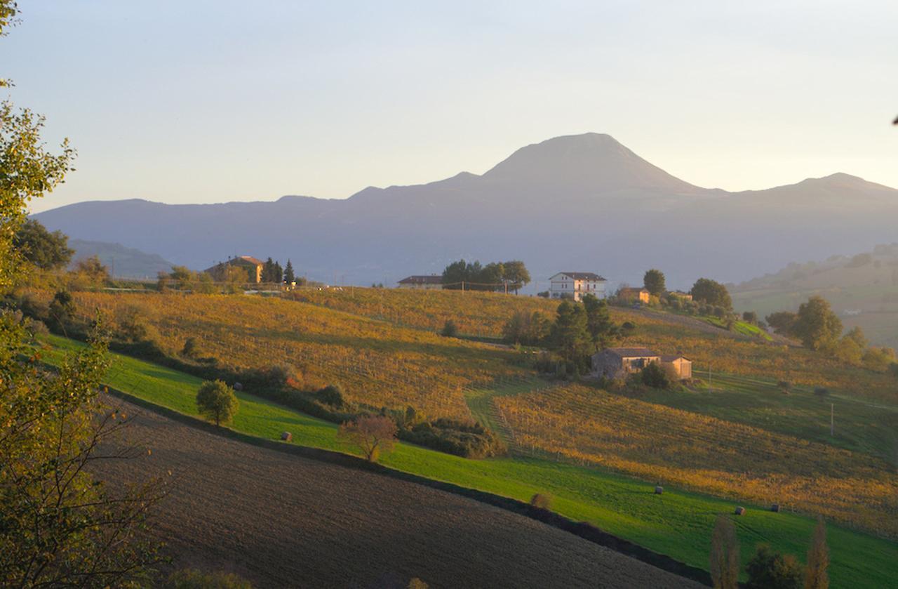 La Girandola Bed and Breakfast Cupramontana Buitenkant foto